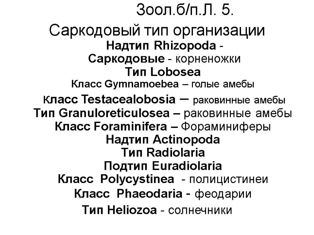 Зоол.б/п.Л. 5. Саркодовый тип организации Надтип Rhizopoda - Саркодовые - корненожки Тип Lobosea Класс